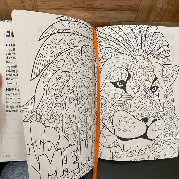 PILGRIM SOUL The Original Creative Thinking Journal High Adult Journal - Picture 9 of 14